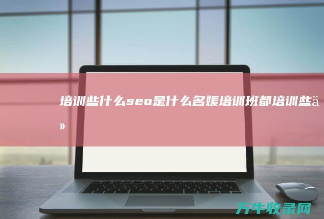 培训些什么 seo是什么 (名媛培训班都培训些什么)