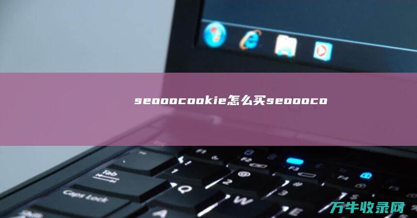 seooocookie怎么买 (seooocookie官网链接)