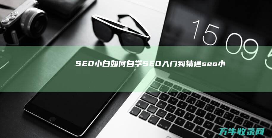 SEO小白如何自学SEO入门到精通 (seo小技巧)